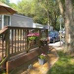 Lake flowers 2012